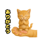 ❤︎あかにゃん❤︎茶虎,,,,,,（個別スタンプ：22）