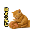 ❤︎あかにゃん❤︎茶虎,,,,,,（個別スタンプ：23）