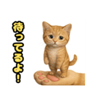 ❤︎あかにゃん❤︎茶虎,,,,,,（個別スタンプ：25）