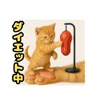 ❤︎あかにゃん❤︎茶虎,,,,,,（個別スタンプ：29）