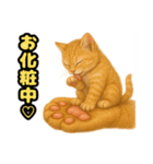 ❤︎あかにゃん❤︎茶虎,,,,,,（個別スタンプ：32）