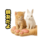 ❤︎あかにゃん❤︎茶虎,,,,,,（個別スタンプ：33）