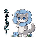 ネモフィラにゃん①,（個別スタンプ：17）