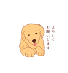 【第二弾】ゴールデンレトリバー(かわいい)（個別スタンプ：1）