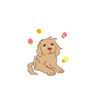 【第二弾】ゴールデンレトリバー(かわいい)（個別スタンプ：2）