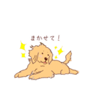 【第二弾】ゴールデンレトリバー(かわいい)（個別スタンプ：3）