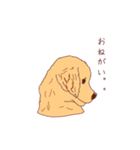 【第二弾】ゴールデンレトリバー(かわいい)（個別スタンプ：6）