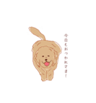 【第二弾】ゴールデンレトリバー(かわいい)（個別スタンプ：11）