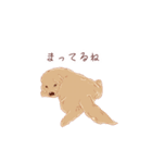 【第二弾】ゴールデンレトリバー(かわいい)（個別スタンプ：19）
