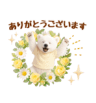 ラフな敬語の癒し白くま（個別スタンプ：9）