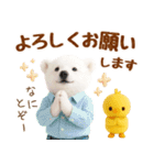 ラフな敬語の癒し白くま（個別スタンプ：19）