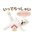 ラフな敬語の癒し白くま（個別スタンプ：22）