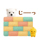 ラフな敬語の癒し白くま（個別スタンプ：28）