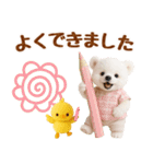 ラフな敬語の癒し白くま（個別スタンプ：30）