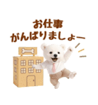 ラフな敬語の癒し白くま（個別スタンプ：37）