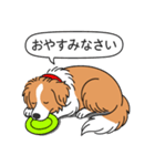 ボーダーコリー(レッド＆ホワイト)（個別スタンプ：4）