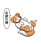ボーダーコリー(レッド＆ホワイト)（個別スタンプ：5）