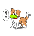 ボーダーコリー(レッド＆ホワイト)（個別スタンプ：15）