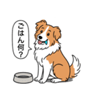 ボーダーコリー(レッド＆ホワイト)（個別スタンプ：20）