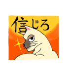 ふとまるネコ生活（個別スタンプ：21）
