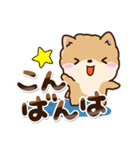 ちびポメラニアン【敬語】（個別スタンプ：8）