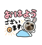家猫うなのスタンプ（個別スタンプ：2）