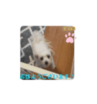 めりる20250517（個別スタンプ：1）