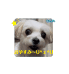 めりる20250517（個別スタンプ：4）