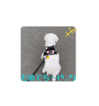 めりる20250517（個別スタンプ：6）