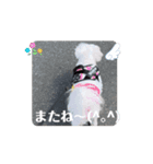 めりる20250517（個別スタンプ：8）