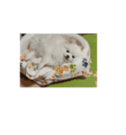 MilkyWorld3（個別スタンプ：3）