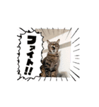 MilkyWorld3（個別スタンプ：8）