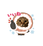 MilkyWorld3（個別スタンプ：12）