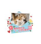 むぎとろ＆なぎ(0歳)（個別スタンプ：10）
