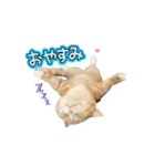 むぎとろ＆なぎ(0歳)（個別スタンプ：12）
