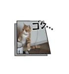 むぎとろ＆なぎ(0歳)（個別スタンプ：13）