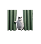 動く！猫ミーム(パート24)（個別スタンプ：2）