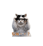 動く！猫ミーム(パート24)（個別スタンプ：3）