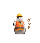 動く！猫ミーム(パート24)（個別スタンプ：4）
