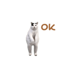 動く！猫ミーム(パート24)（個別スタンプ：12）