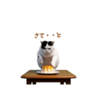 動く！猫ミーム(パート24)（個別スタンプ：13）