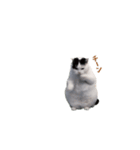 動く！猫ミーム(パート24)（個別スタンプ：19）