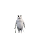 動く！猫ミーム(パート24)（個別スタンプ：24）