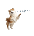 毎日使える陽気な柴犬【かわいい・連絡】（個別スタンプ：26）