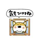 おちびドッグ(チロ)日常会話（個別スタンプ：20）