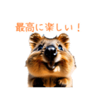 ハッピーアニマル_クオッカワラビー36（個別スタンプ：3）