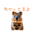 ハッピーアニマル_クオッカワラビー36（個別スタンプ：28）