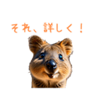 ハッピーアニマル_クオッカワラビー36（個別スタンプ：32）