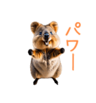ハッピーアニマル_クオッカワラビー36（個別スタンプ：38）