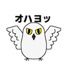 シロフクロウ★キュートな使える日常会話（個別スタンプ：1）